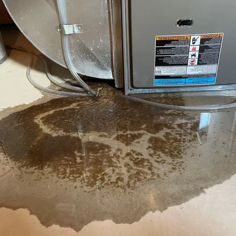 Pipe Burst and Leak Restoration in Joplin, MO